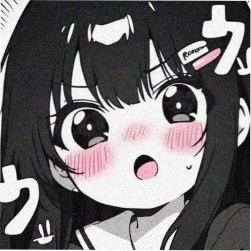 读者夜航船头像